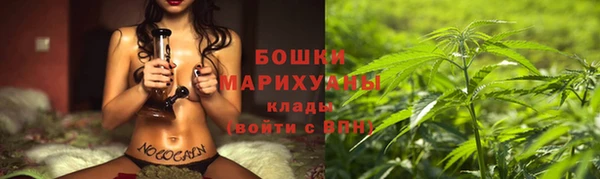 индика Нефтегорск