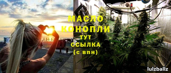 индика Нефтегорск