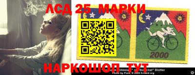 стаф Донской