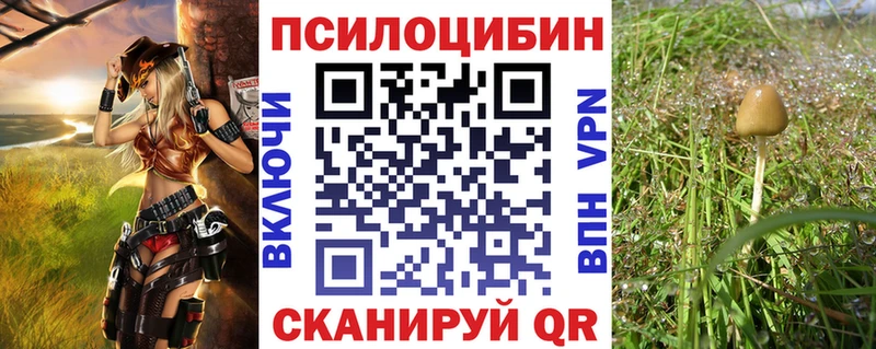 где продают наркотики Прохладный Псилоцибиновые грибы MAGIC MUSHROOMS
