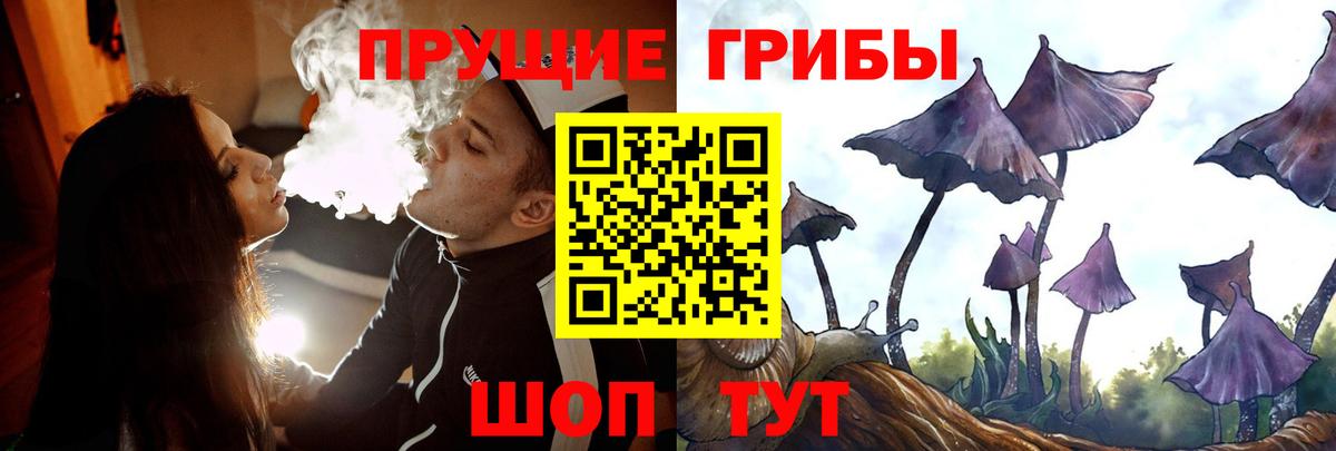 Галлюциногенные грибы MAGIC MUSHROOMS Прохладный